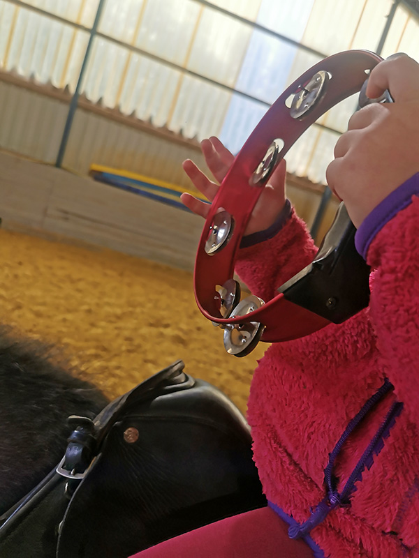 Die Arbeit mit dem Schellenkranz - Rhythmus, Wahrnehmung & Vertrauen. Gemeinsam entstehen Bewegung, Musik und Verbindung - pferdegestützte Therapie einmal anders: mit Klang, Rhythmus und Pferd im Einklang. Die Arbeit mit dem Schellenkranz - Rhythmus, Wahrnehmung & Vertrauen. Gemeinsam entstehen Bewegung, Musik und Verbindung - pferdegestützte Therapie einmal anders: mit Klang, Rhythmus und Pferd im Einklang.